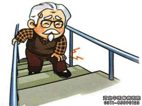 膝关节